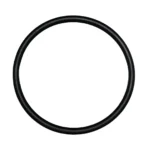O-ring