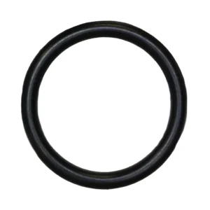 O-ring