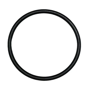 O-ring