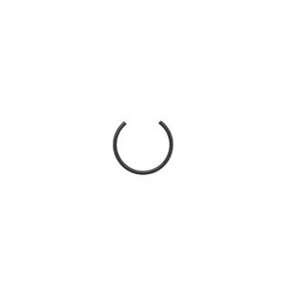 Snap Ring