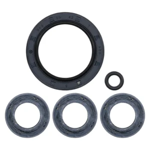OIL SEAL KIT