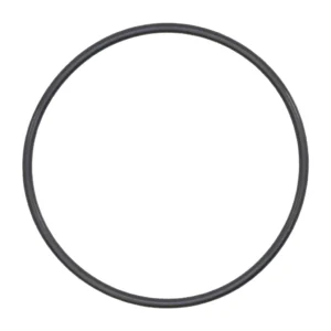 O-ring