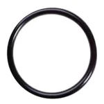 O-ring