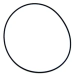 O-ring