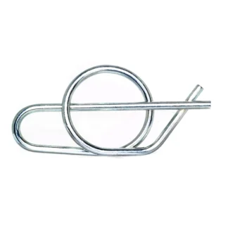 Pin