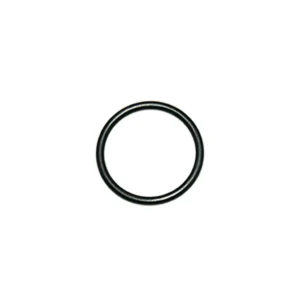 O-ring