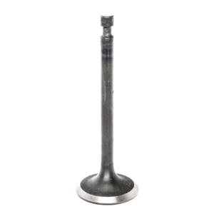 Intake Valve