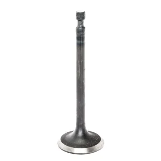 Intake Valve