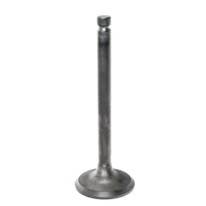 Intake Valve
