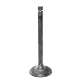 Intake Valve