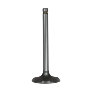 Intake Valve