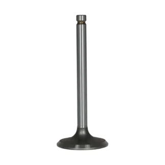 Intake Valve