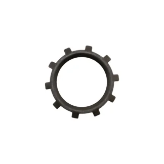 Snap Ring