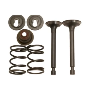 Intake Valve