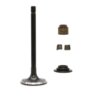 Intake Valve