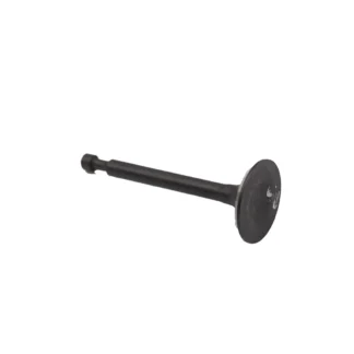 Intake Valve