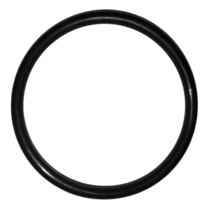 O-ring