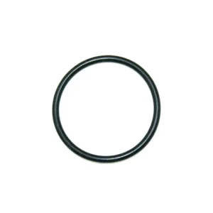 O-ring