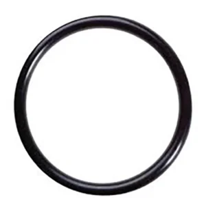 O-ring