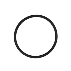 O-ring