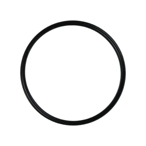 O-ring