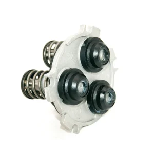 Manifold
