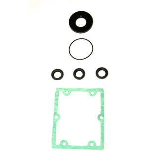 Gasket