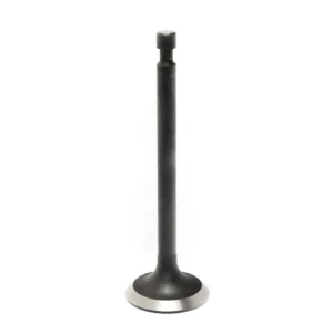 Intake Valve