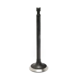 Intake Valve