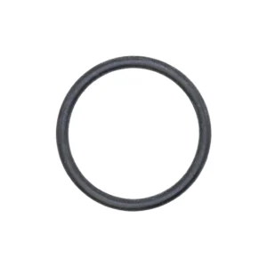 O-ring