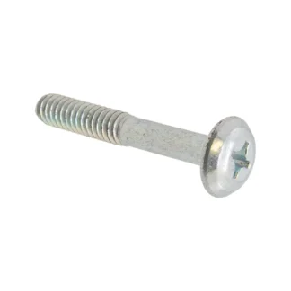 Screw