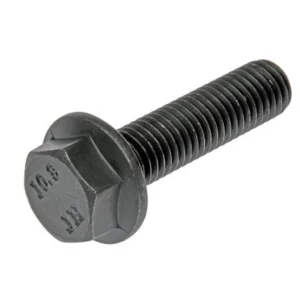 Bolt