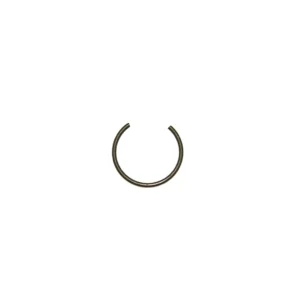 Snap Ring