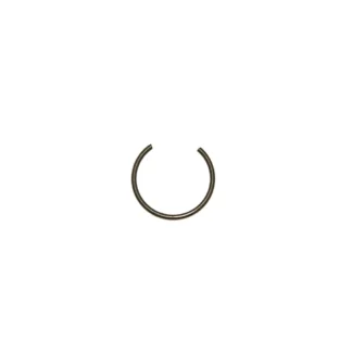 Snap Ring