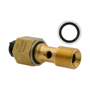 VALVE-THERMAL RELIEF BANJO